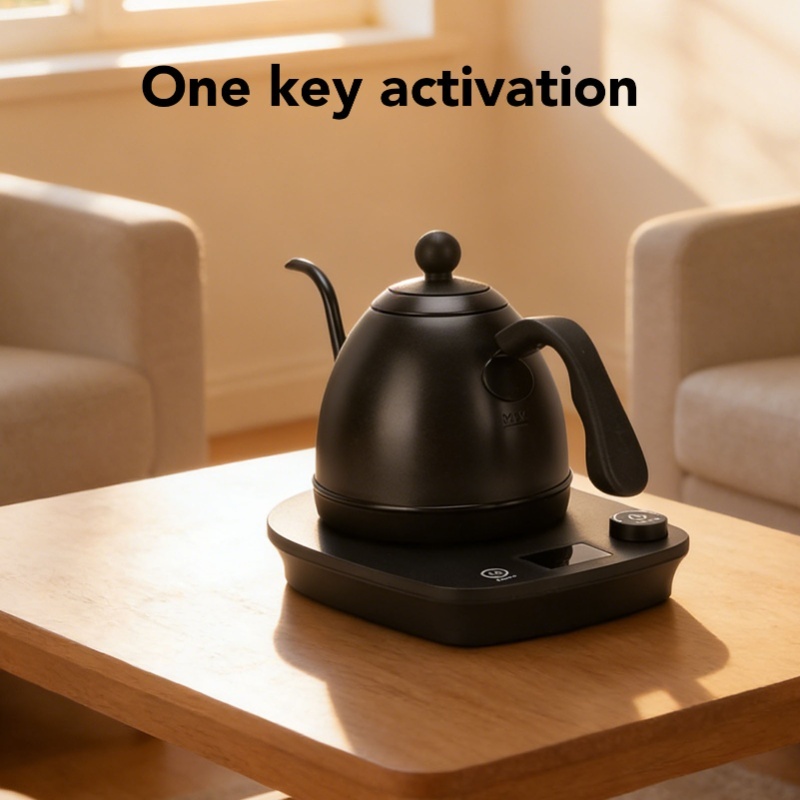 1000W Electric Gooseneck Kettl - Pour Over Kettle 评论和价格